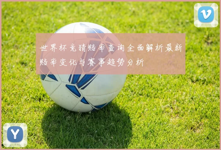 世界杯竞猜赔率查询全面解析最新赔率变化与赛事趋势分析