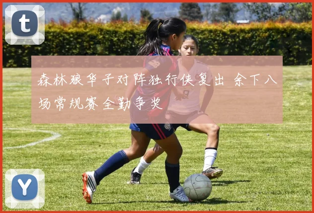 森林狼华子对阵独行侠复出 余下八场常规赛全勤争奖