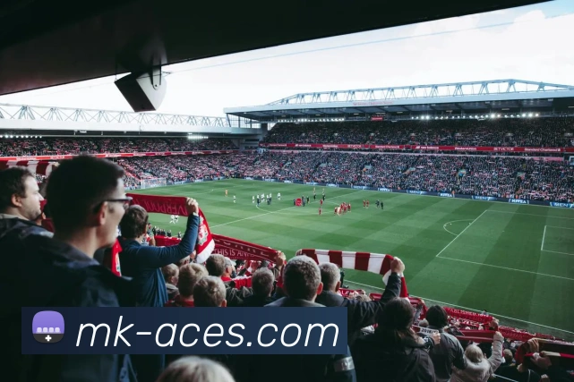 MK体育平台展示图